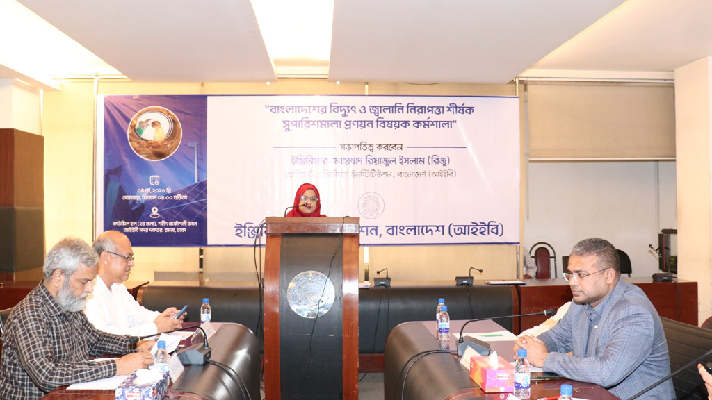 বিদ্যুৎ ও জ্বালানি নিরাপত্তায় সংস্কার জরুরি, নবায়নযোগ্য জ্বালানিতে জোর