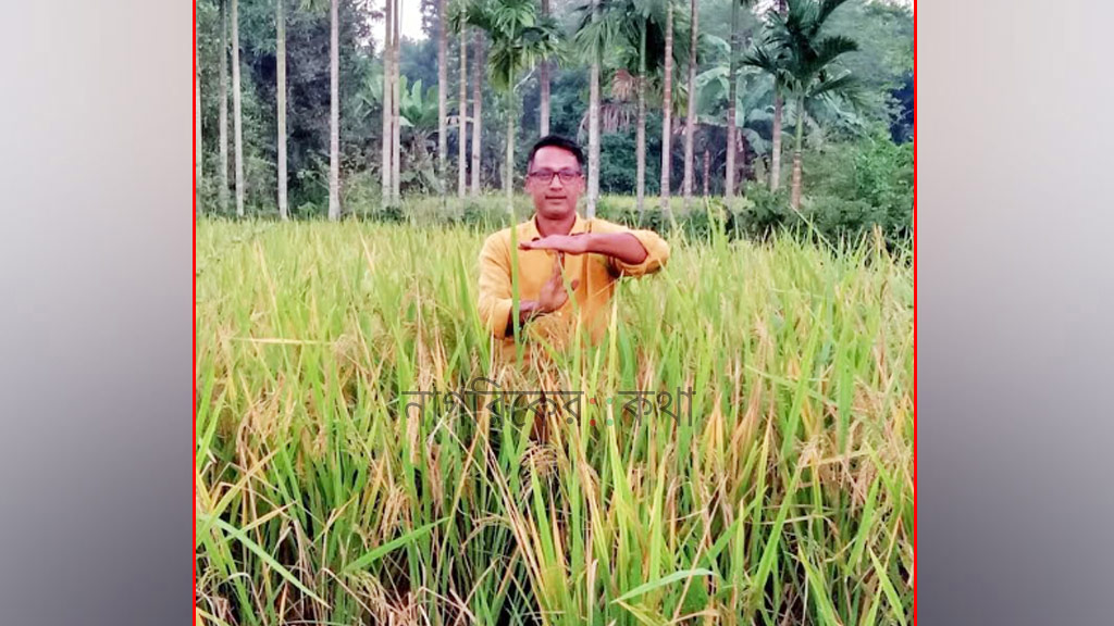ময়মনসিংহ-৩: ধানক্ষেতে ‘রিভিউ আবেদন’ মনোনয়ন পরিবর্তন চাইলেন যুবদল নেতা