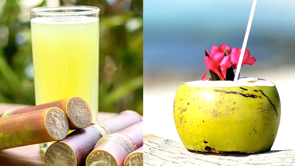 আখের রস না কি ডাবের পানি—গরমে কোনটি বেশি উপকারী?