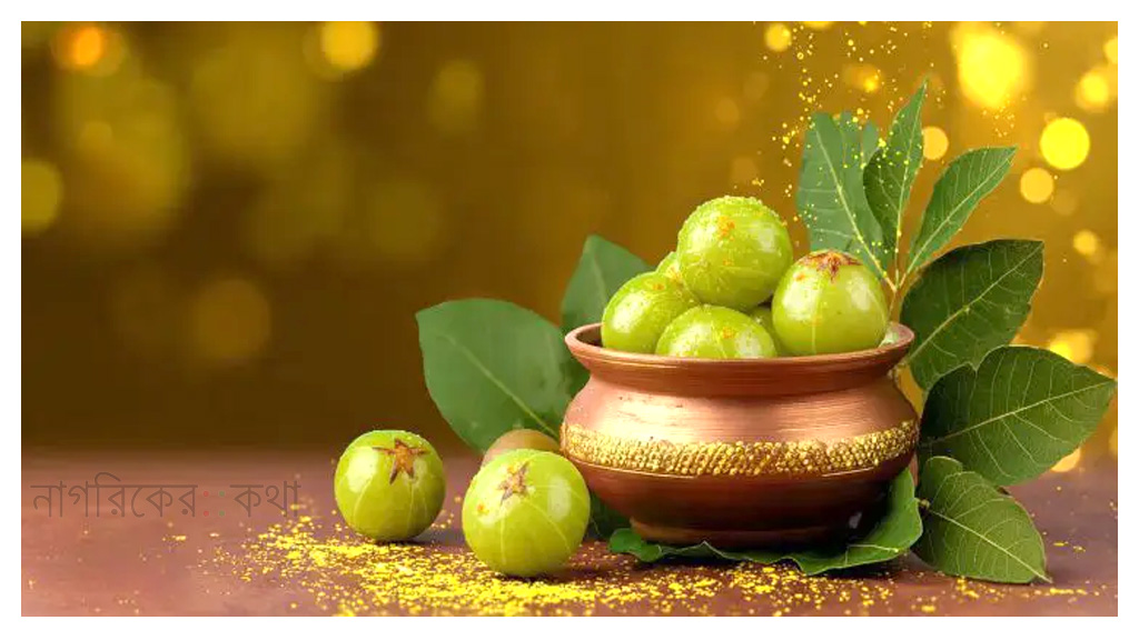 আমলকীর আচারে কি ভিটামিন সি পাওয়া যায়?
