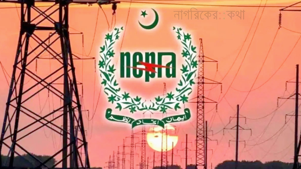 সাধারণ গ্রাহক পর্যায়ে বিদ্যুতের দাম কমালো পাকিস্তান