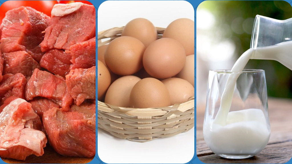 রমজানে ২৬ দিন সুলভ মূল্যে মাংস, ডিম ও দুধ বিক্রি করবে সরকার