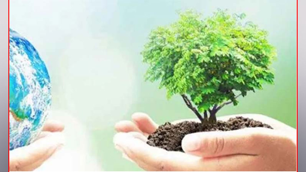 বৃক্ষরোপণে ৫৩ কোটি ৬৬ লাখ টাকার প্রণোদনা, বিতরণ হবে ১৬ লাখ ২৮ হাজার চারা