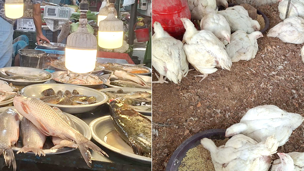 ব্রয়লারের চেয়ে মাছের দাম বেশি, গরুর মাংস ৮০০ টাকা কেজি