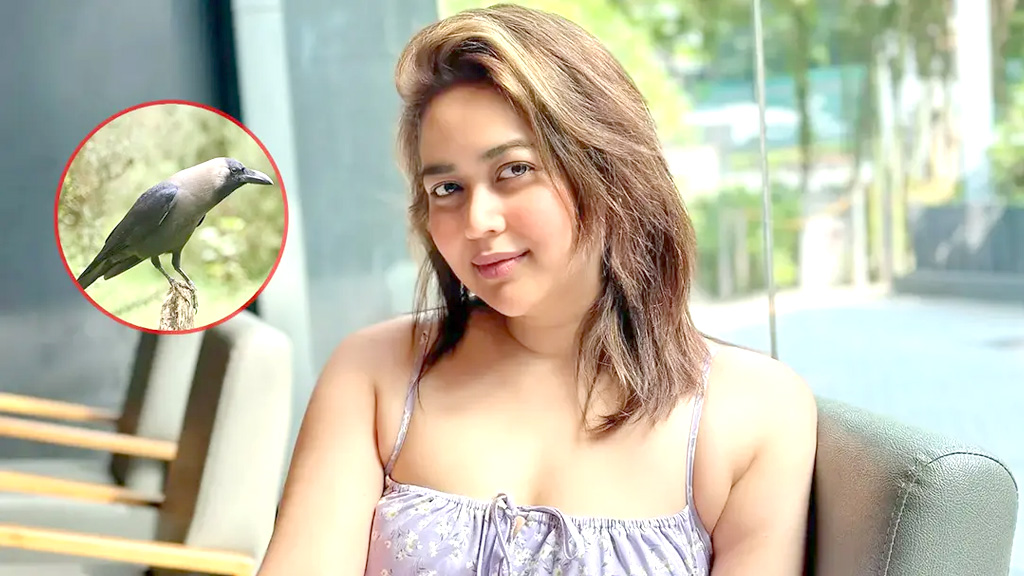 ‘কাকের’ প্রেমে পড়েছেন ভাবনা