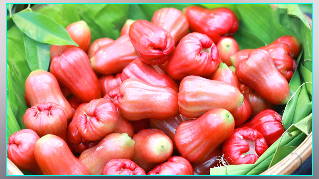 জামরুল খাওয়ার যত উপকারিতা: গরমে রাখবে শরীর ঠান্ডা ও সতেজ