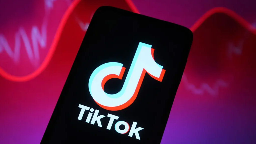 বাংলাদেশে ১ কোটি ৫৩ লাখ ভিডিও সরাল টিকটক