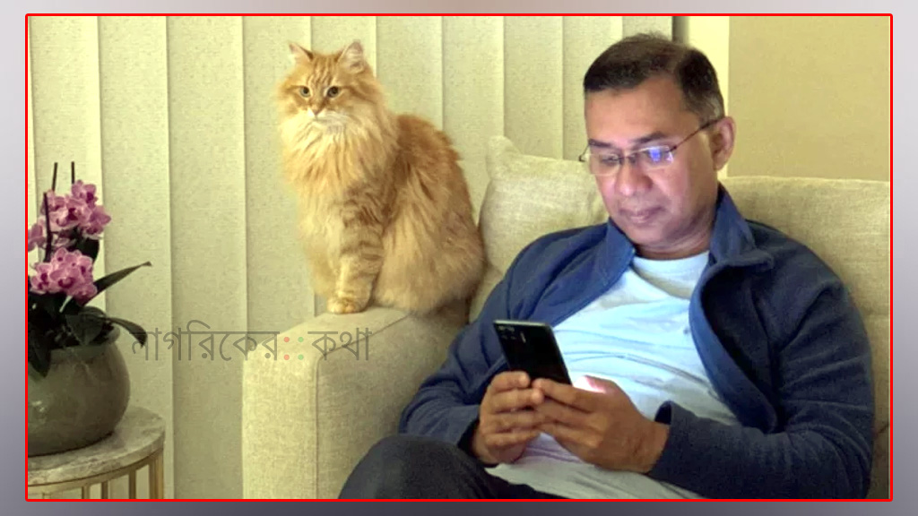 তারেক রহমানের সঙ্গে দেশে ফিরছে পোষা বিড়াল ‘জেবু’