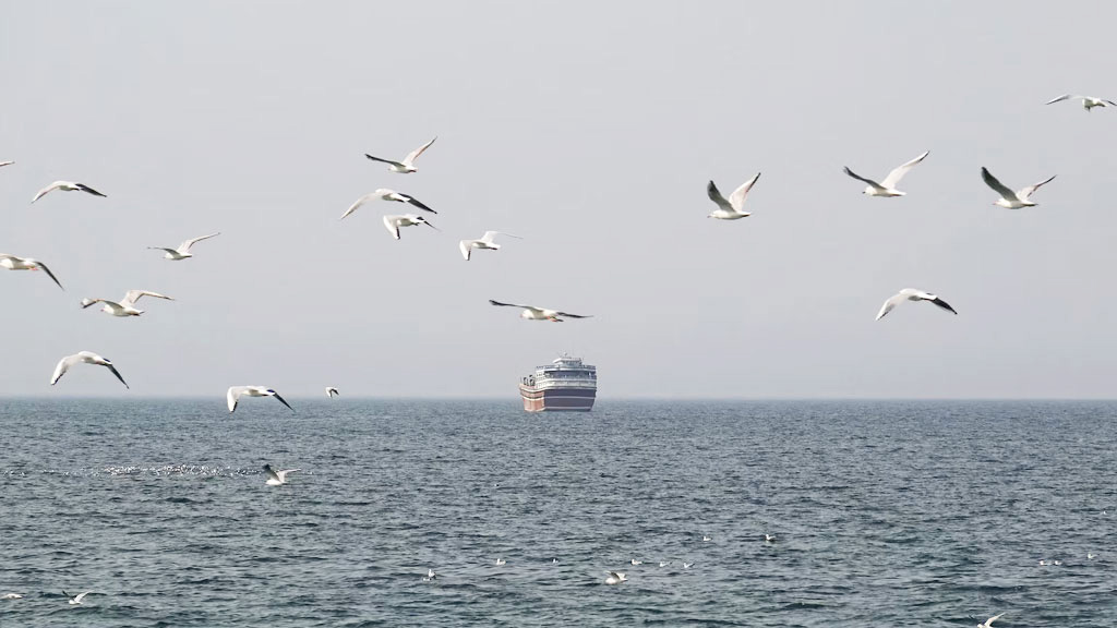 হরমুজ প্রণালী খোলা, তবে সবার জন্য নয়: ইরান