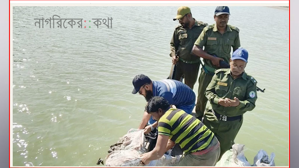 সাতক্ষীরায় ৮৬০ কেজি শামুক জব্দ