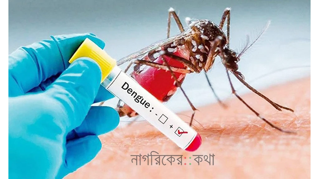 ডেঙ্গুতে আরও ৩ জনের মৃত্যু, হাসপাতালে ভর্তি ৫৯৩ জন