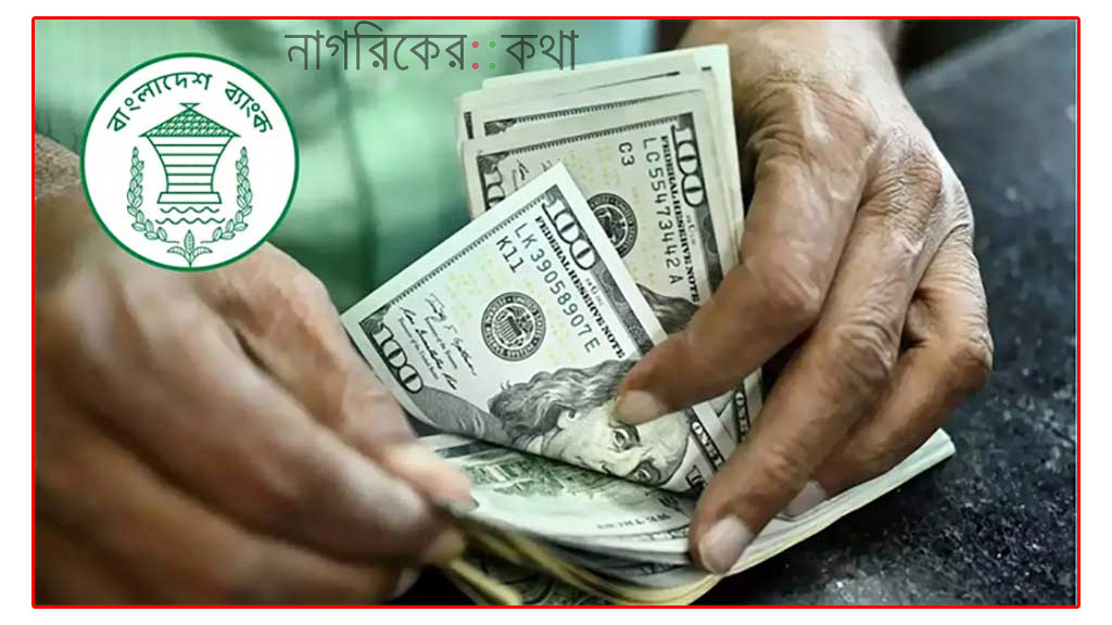 বৈদেশিক মুদ্রার রিজার্ভ ৩১.১৪ বিলিয়ন ডলার