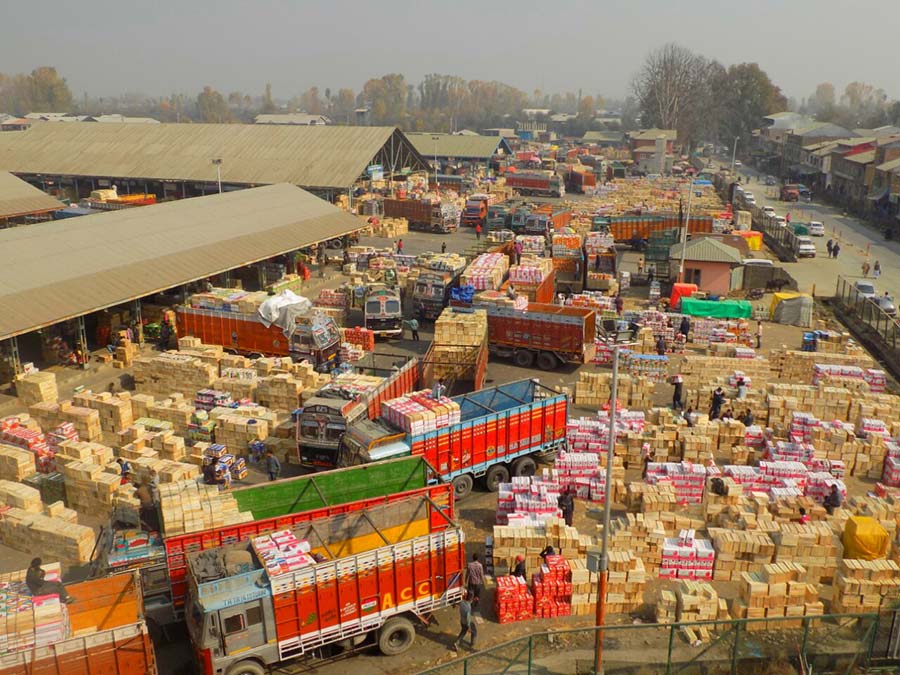 ৮ বছর পর সীমান্ত পেরিয়ে ফিরল কাশ্মীরি আপেলের সুবাস