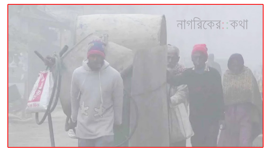 নওগাঁয় নেই সূর্যের দেখা, বৃষ্টির মতো ঝরছে কুয়াশা