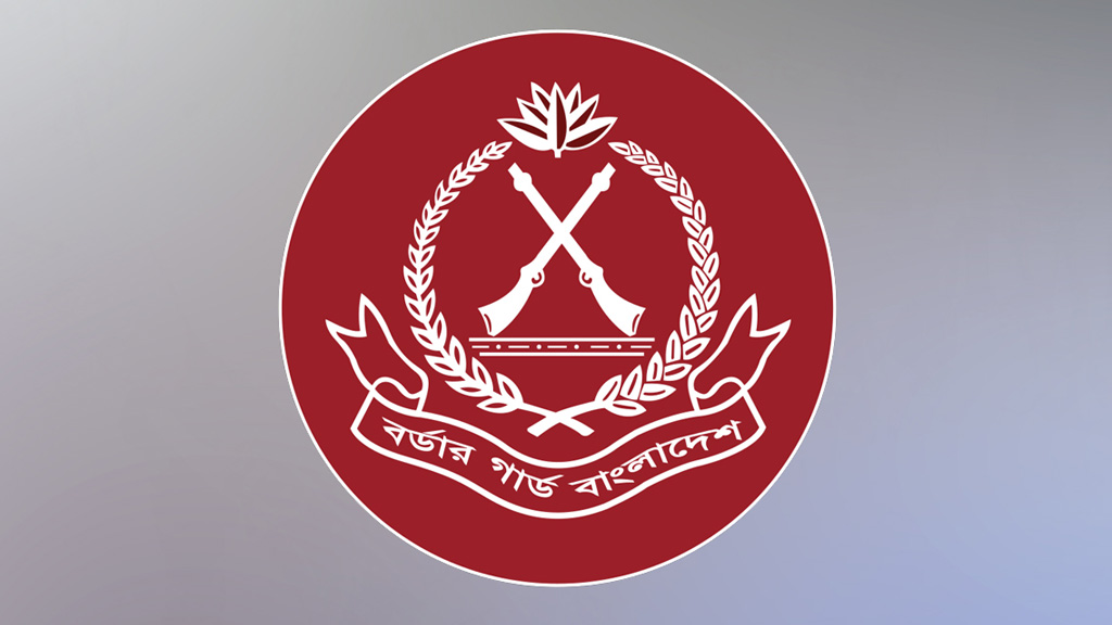 এক রাতে ২৯ কোটি টাকারও বেশি ইয়াবা জব্দ করল বিজিবি