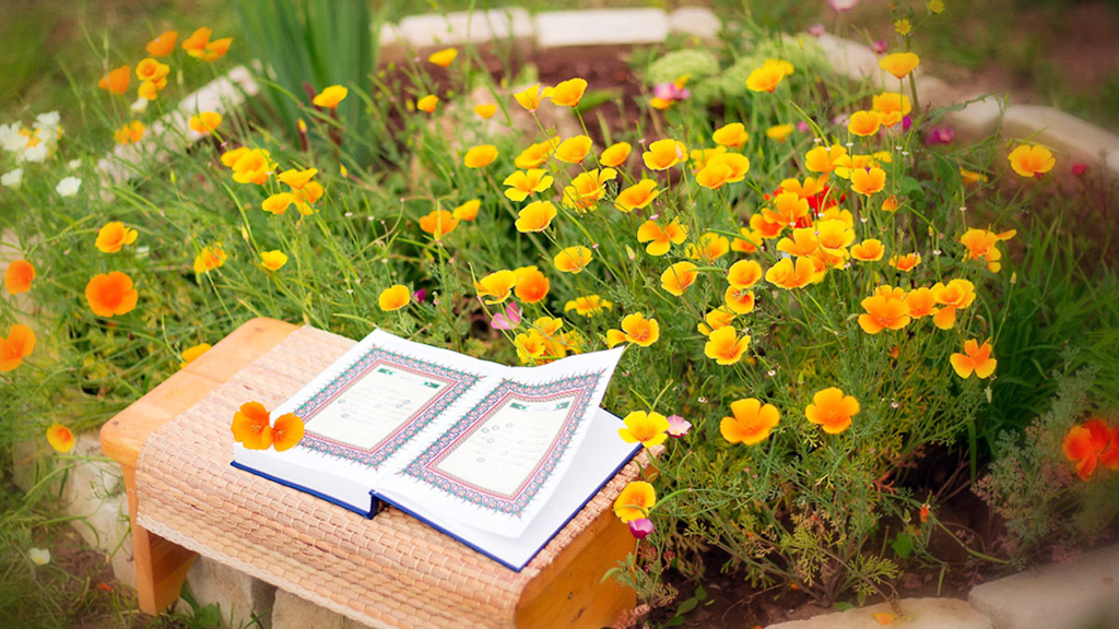 এক কিশোরের ঈমানদীপ্ত কাহিনি